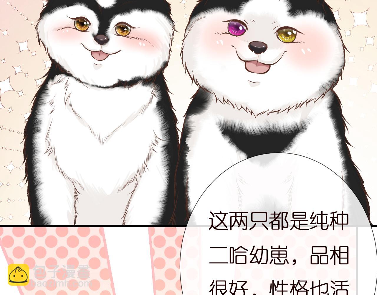 第149 生日礼物47