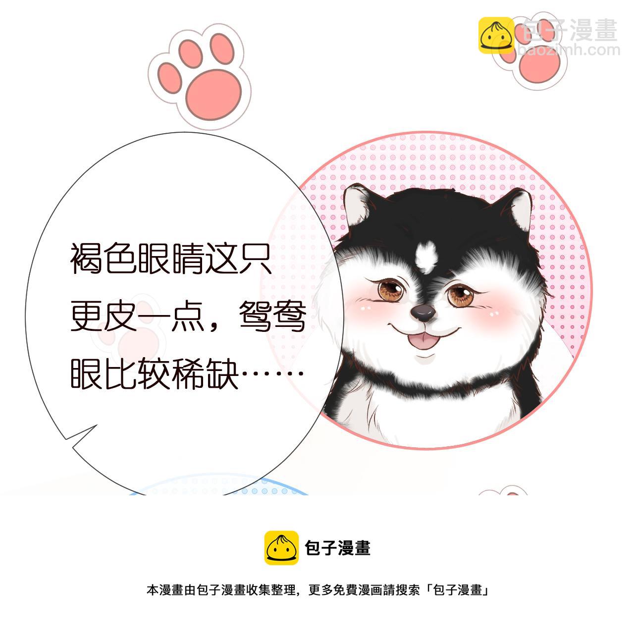 第149 生日礼物49