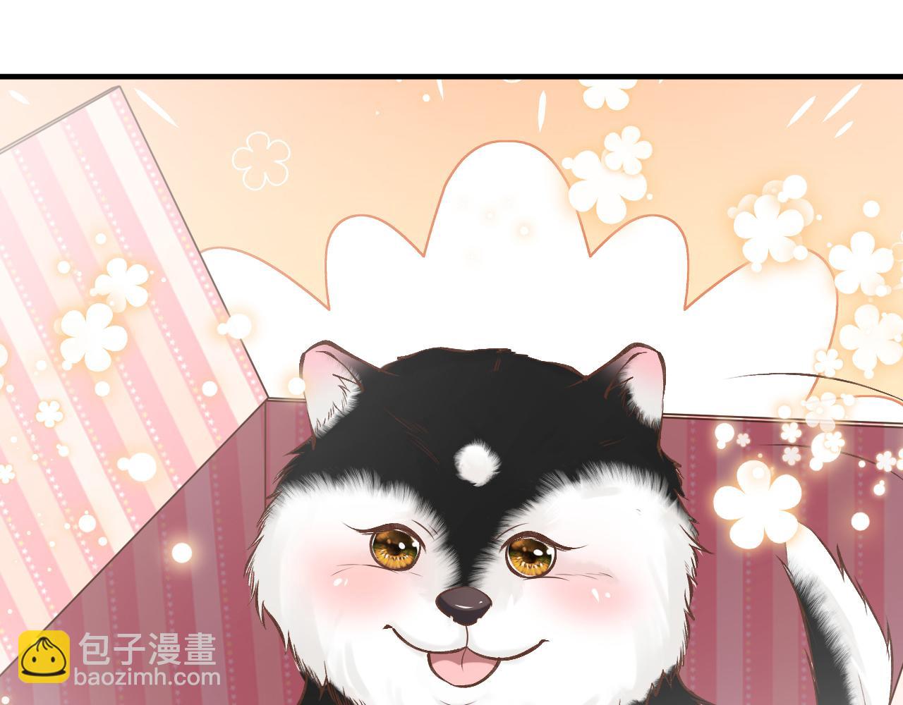 第149 生日礼物91