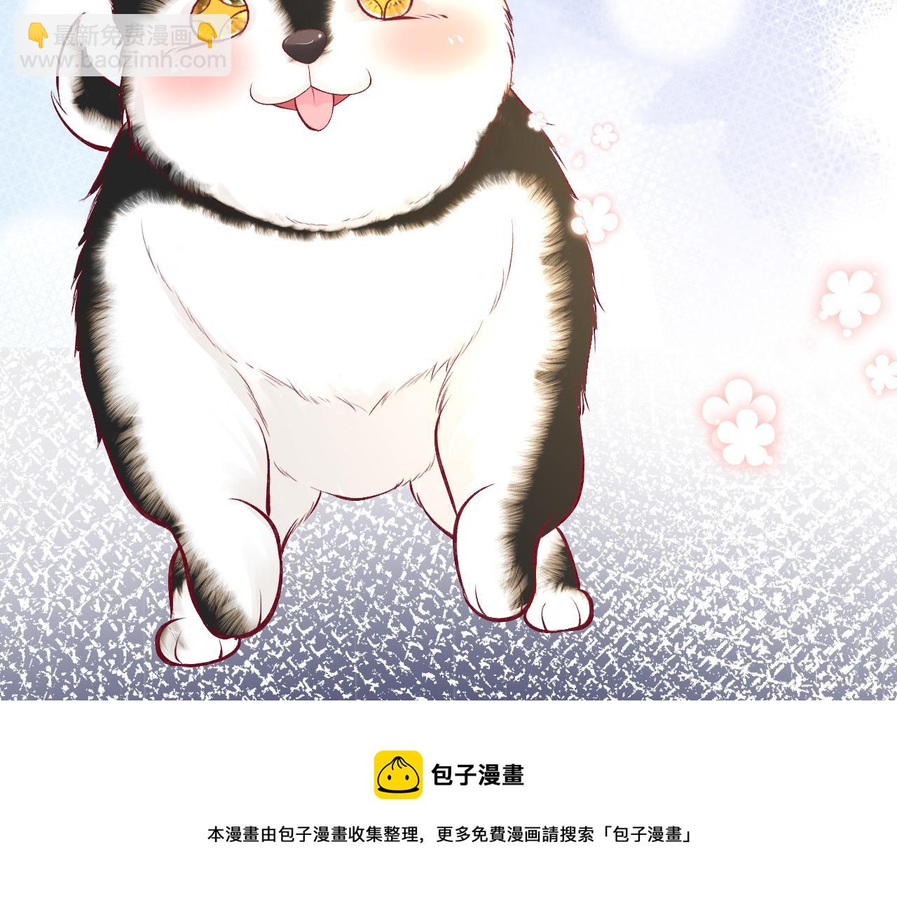 第150 二哥与狗107