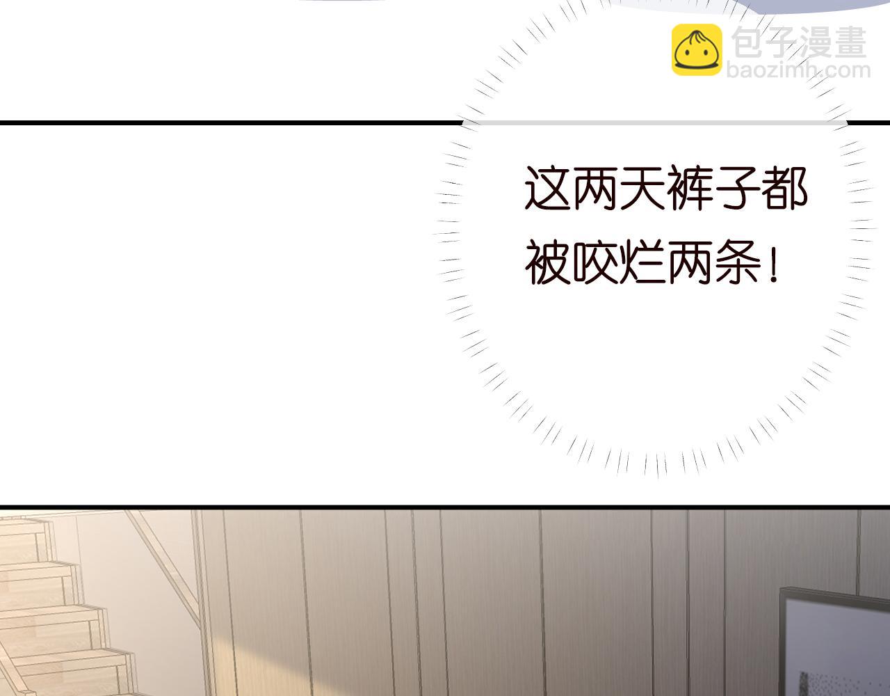 第150 二哥与狗30