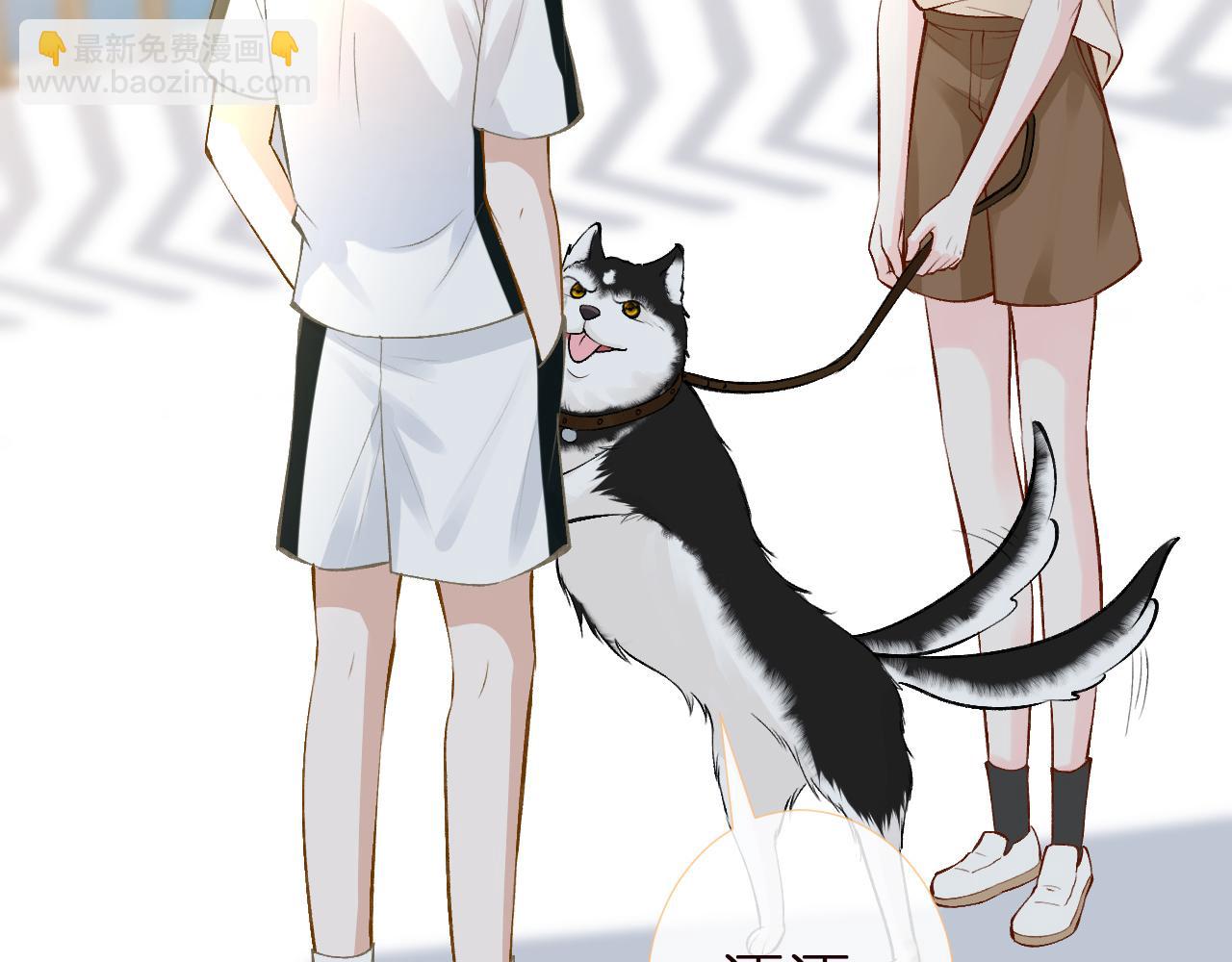 第153 舞台惊喜80