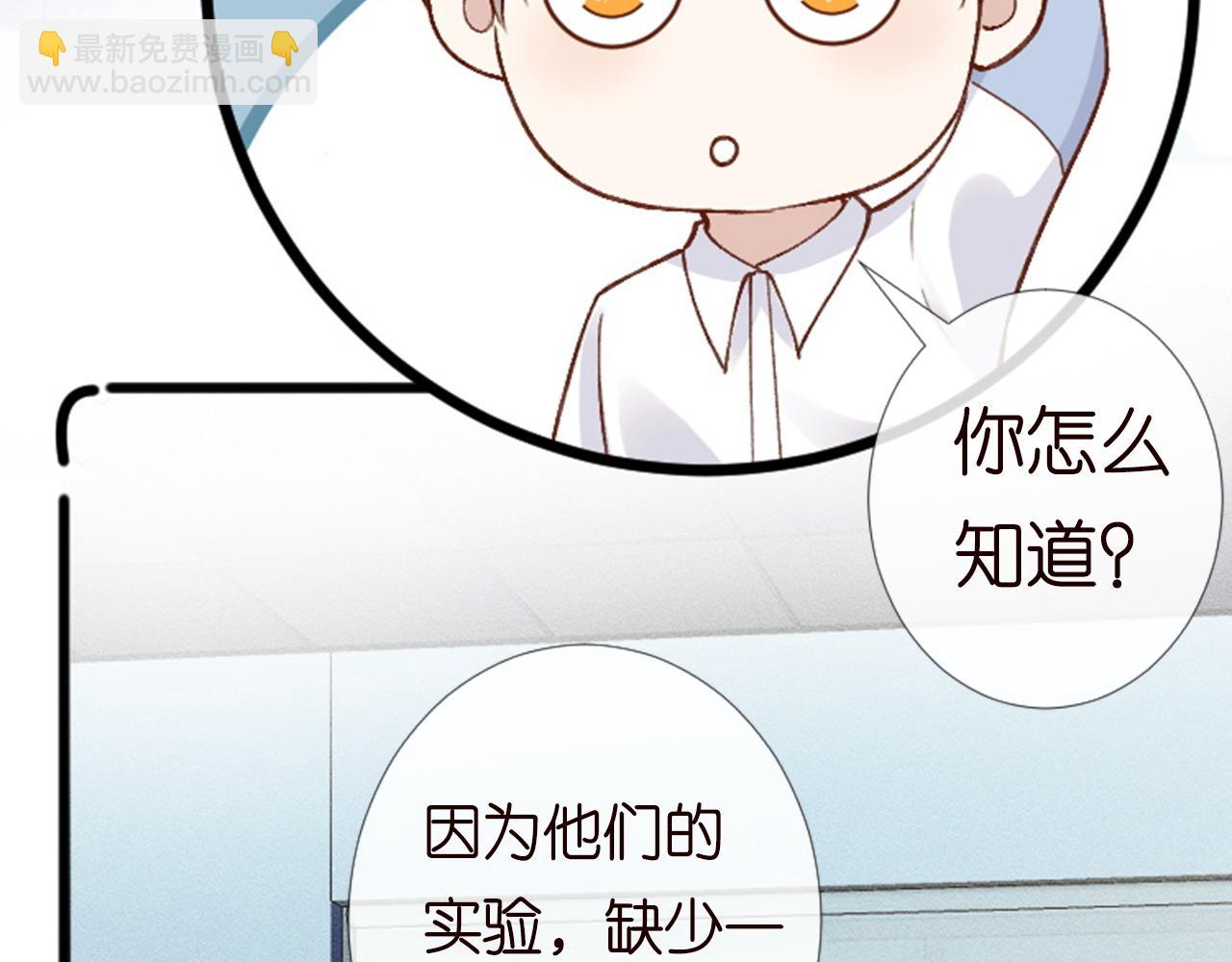 第204 背后的靠山58