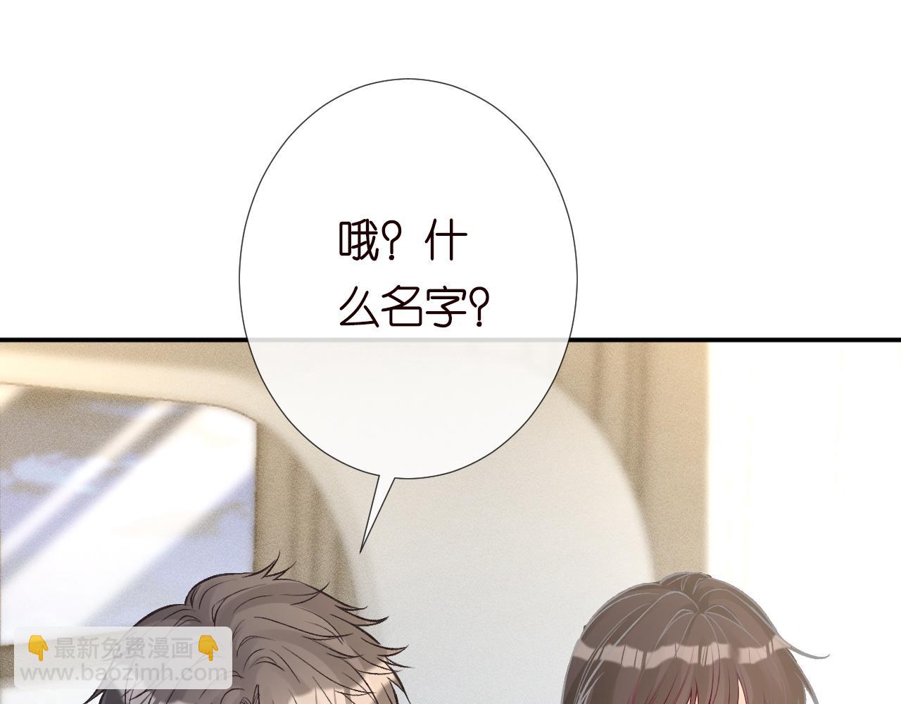 第245 冒牌货34