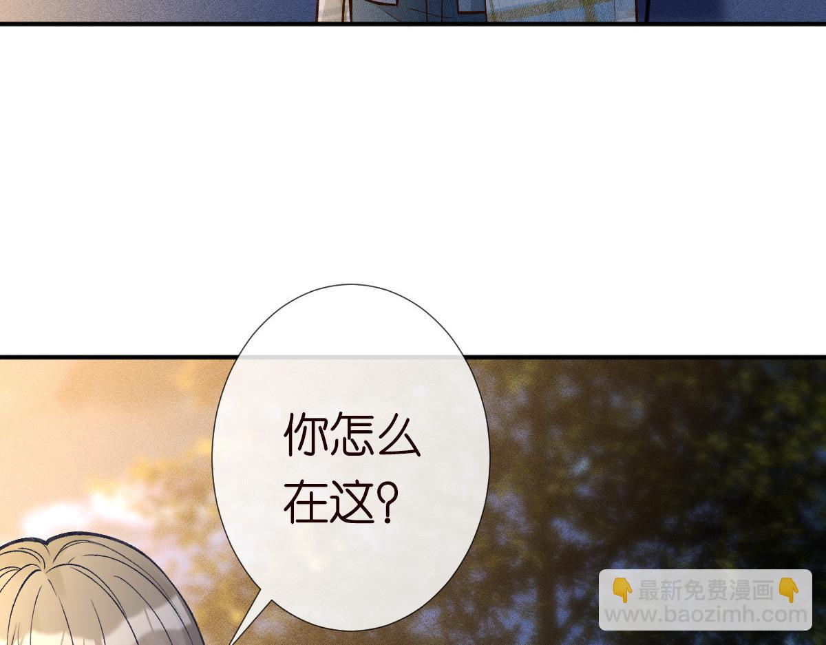 第269 杳姐，快走……45