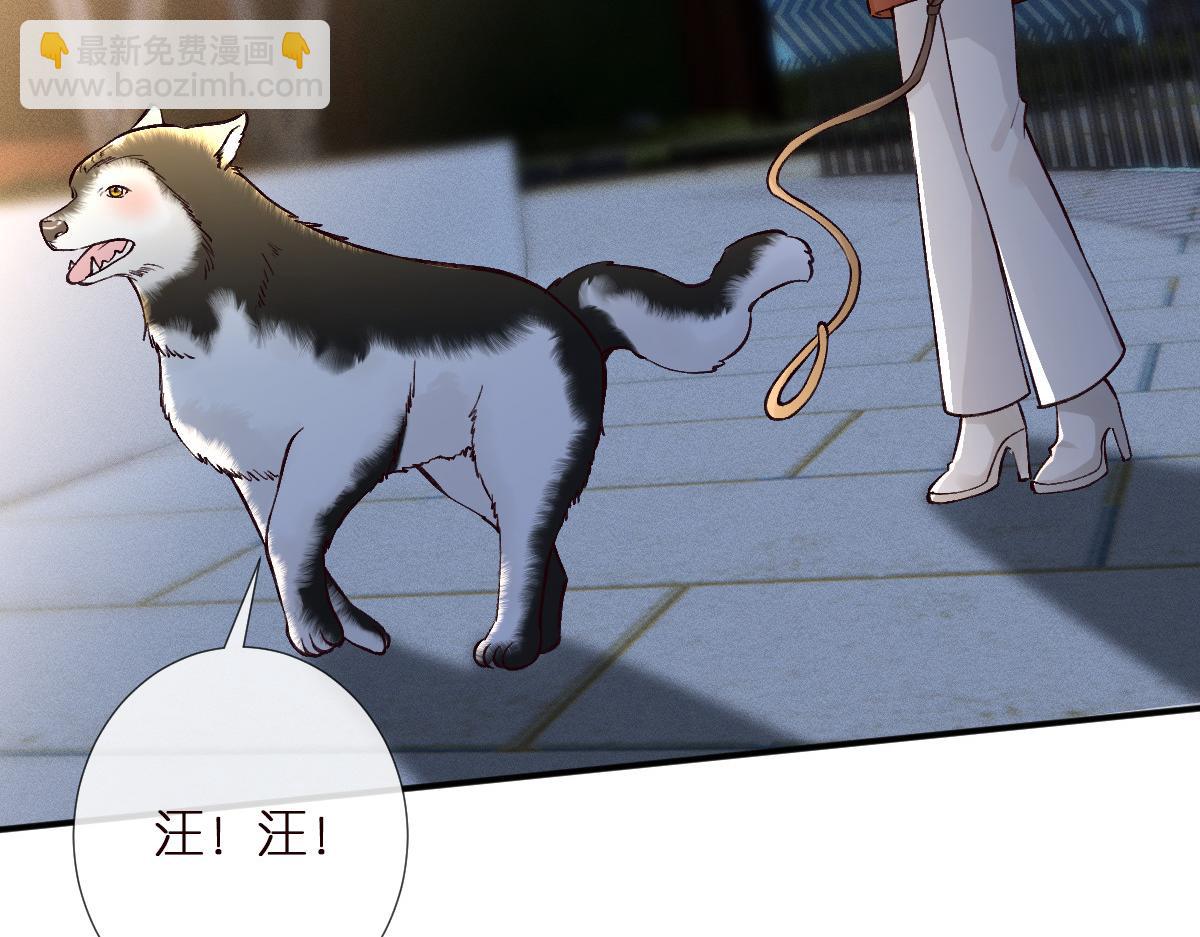 第281 想见你61