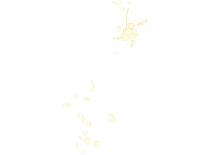 第二季 第36话 迷雾重重87