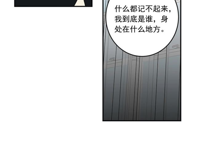 第二季第42话 失忆42