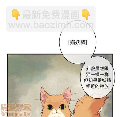 第19话29