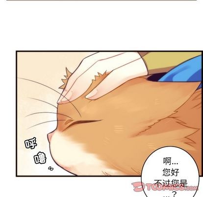 第24话54