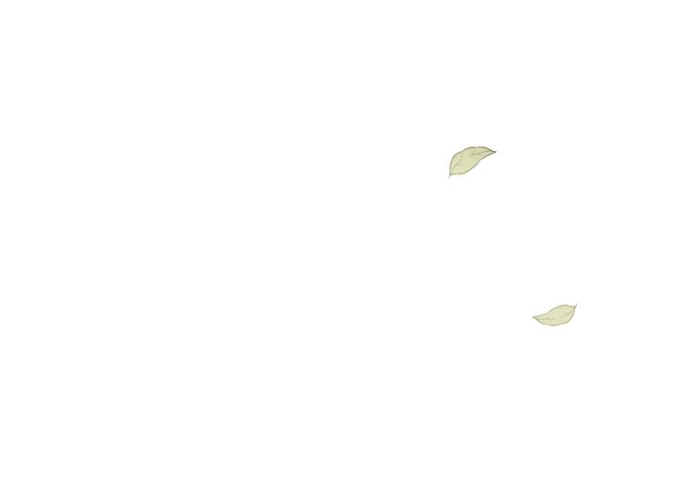 第43话 这便是我的魅力207