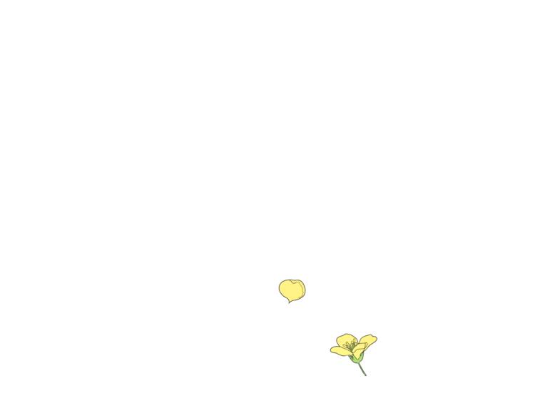 第64话 司令吃错4