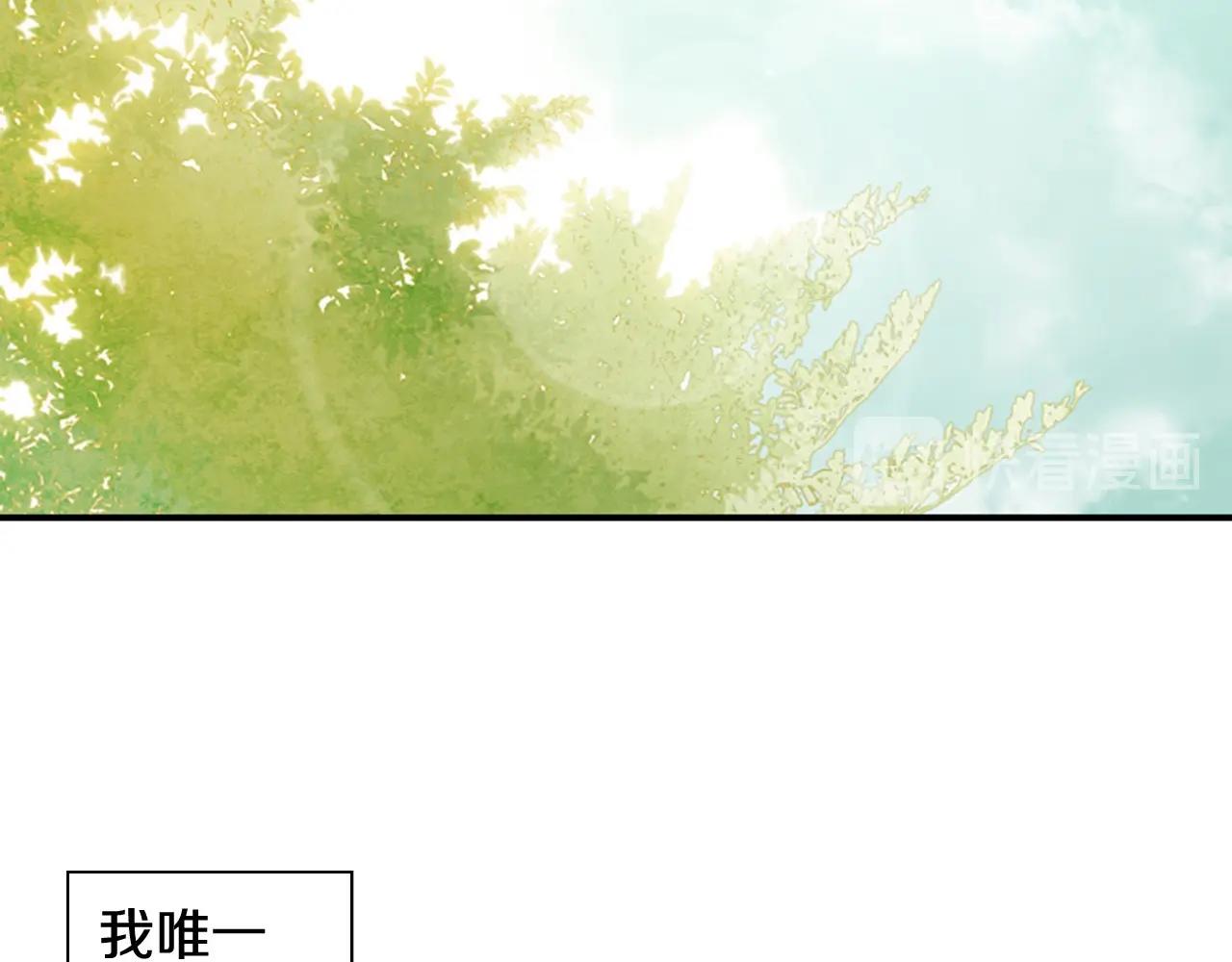 第2季 第17话 移植手术251