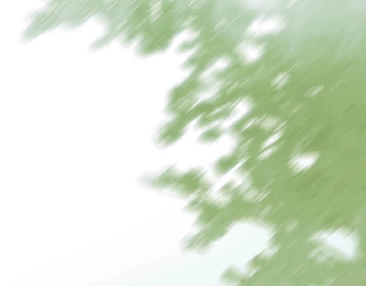 第2季 第17话 移植手术32