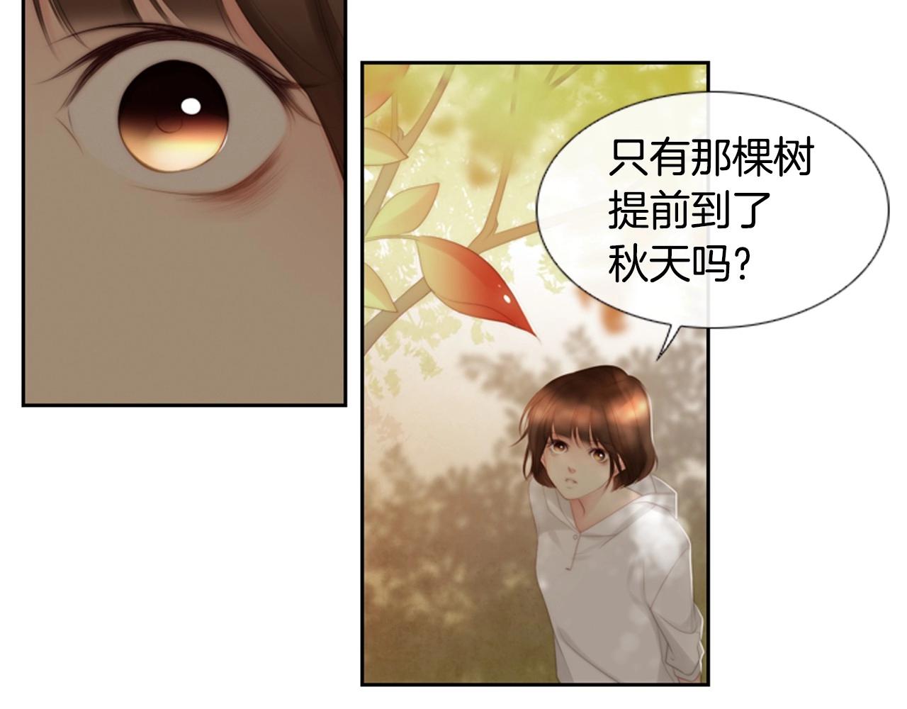 第2季 第19话 山间的回忆89