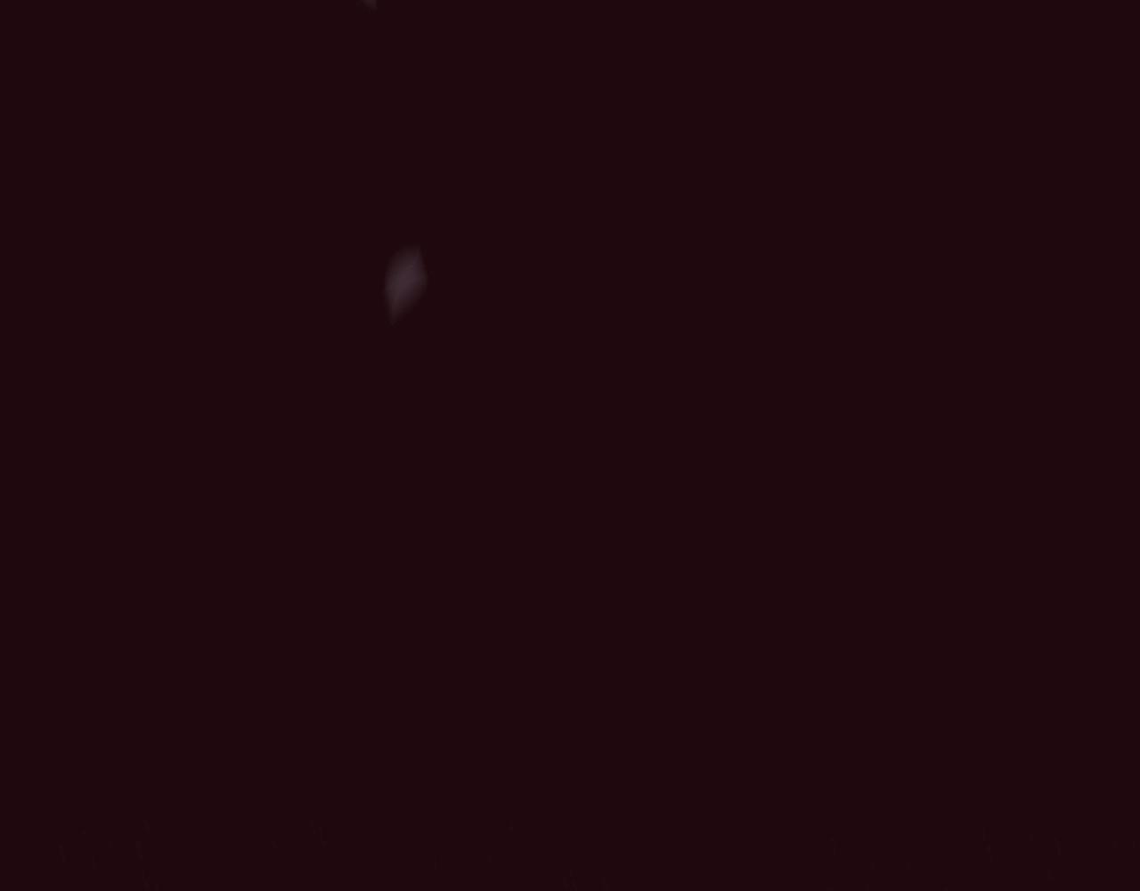 第2季 第23话 残忍的结局276