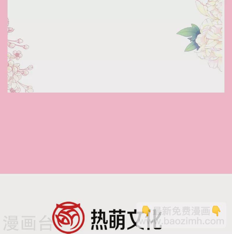 第217话 特别礼物33