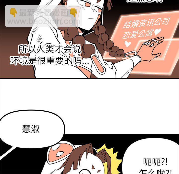 7066