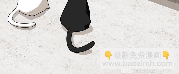第3话 楼下喂猫的他60