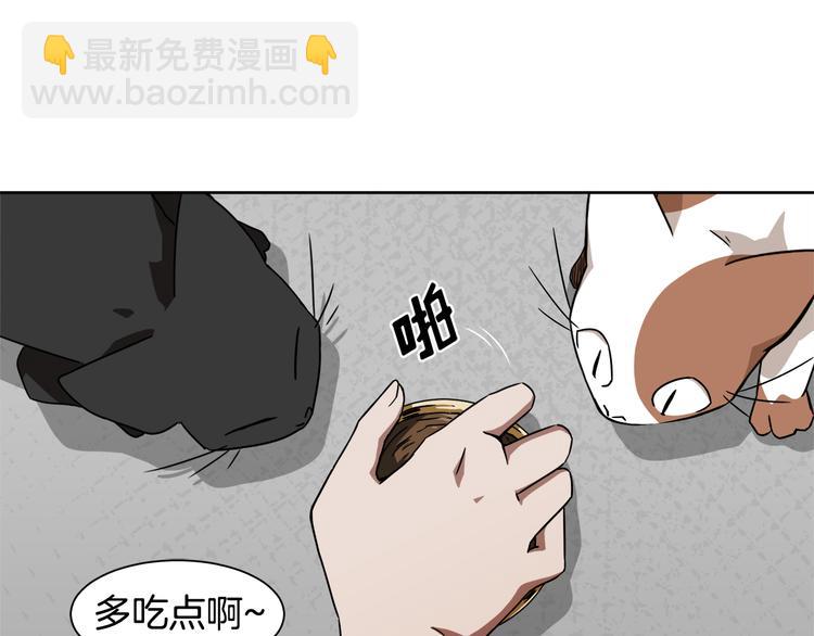 第3话 楼下喂猫的他62