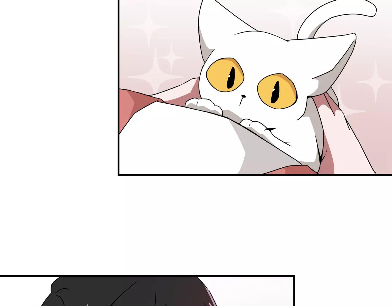 第42话 流浪猫的牵引16