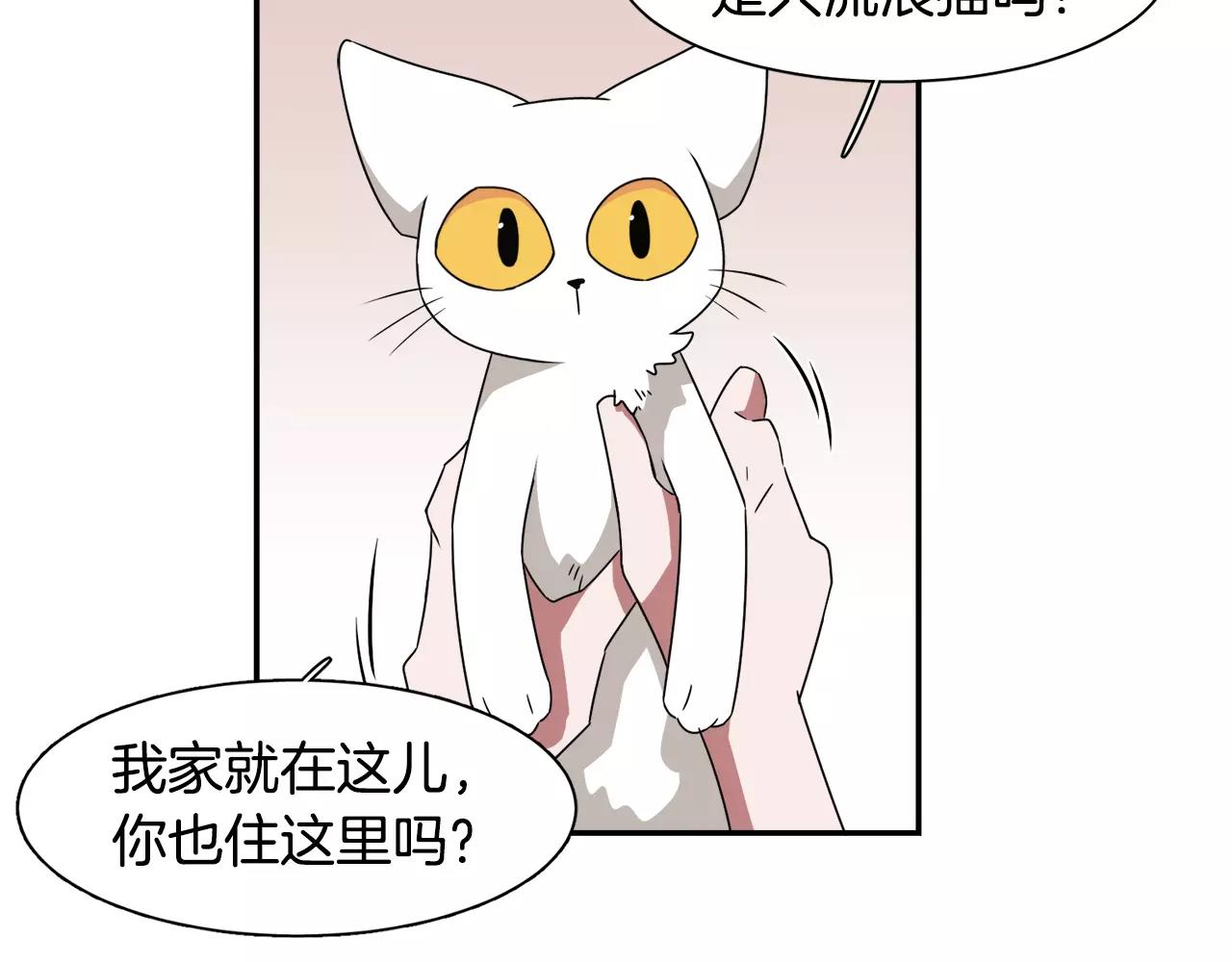 第42话 流浪猫的牵引25