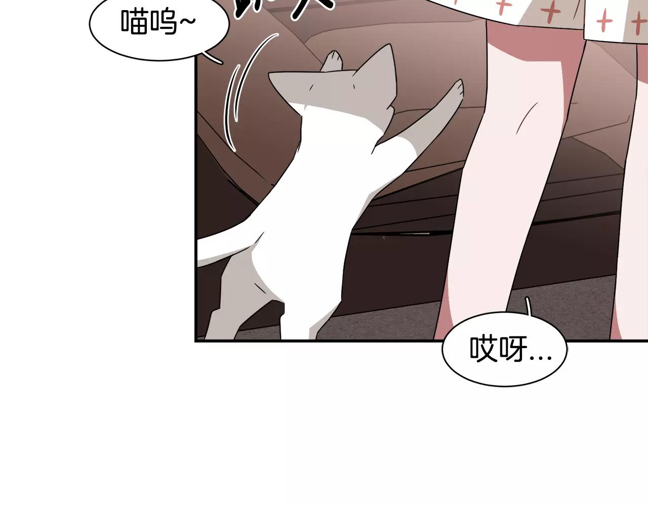 第42话 流浪猫的牵引6