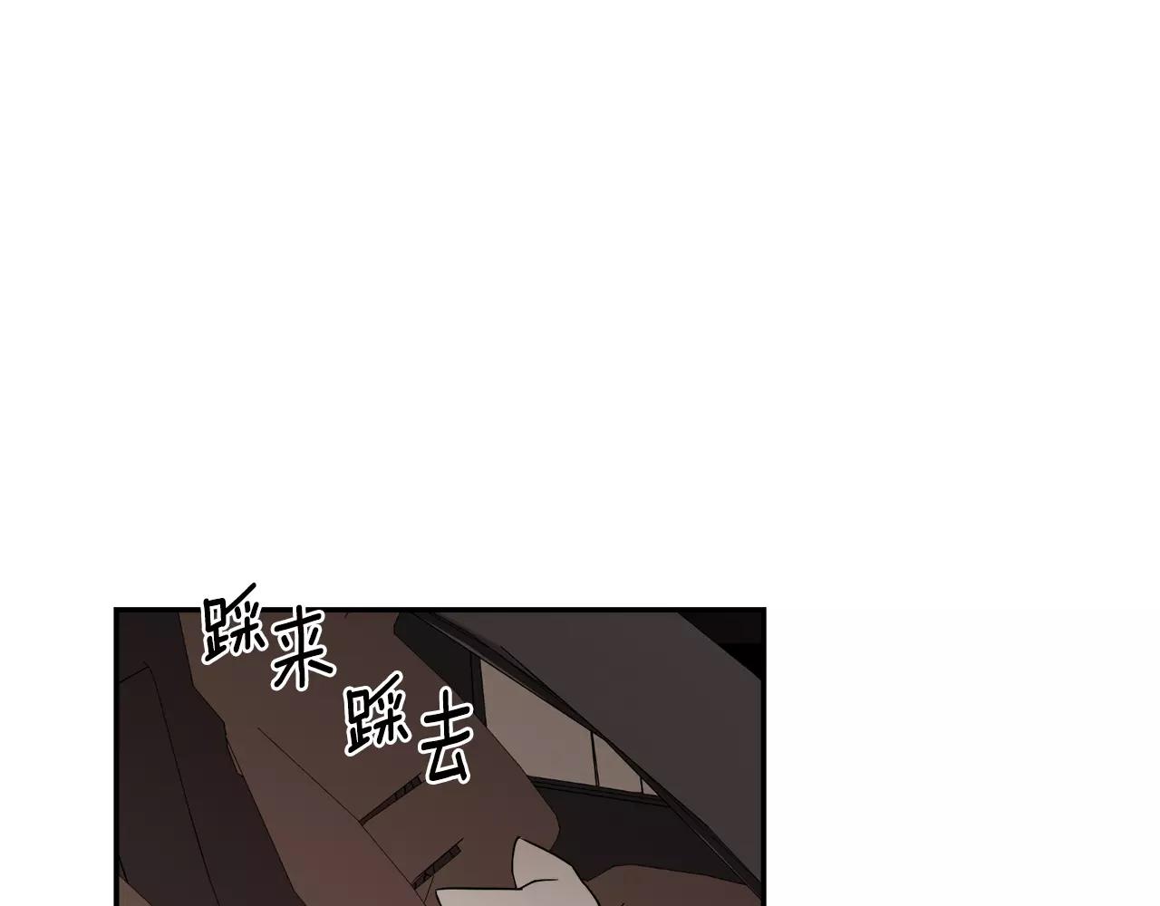 第42话 流浪猫的牵引7