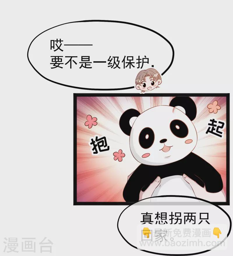 第289话 免费熊猫抱不得！2
