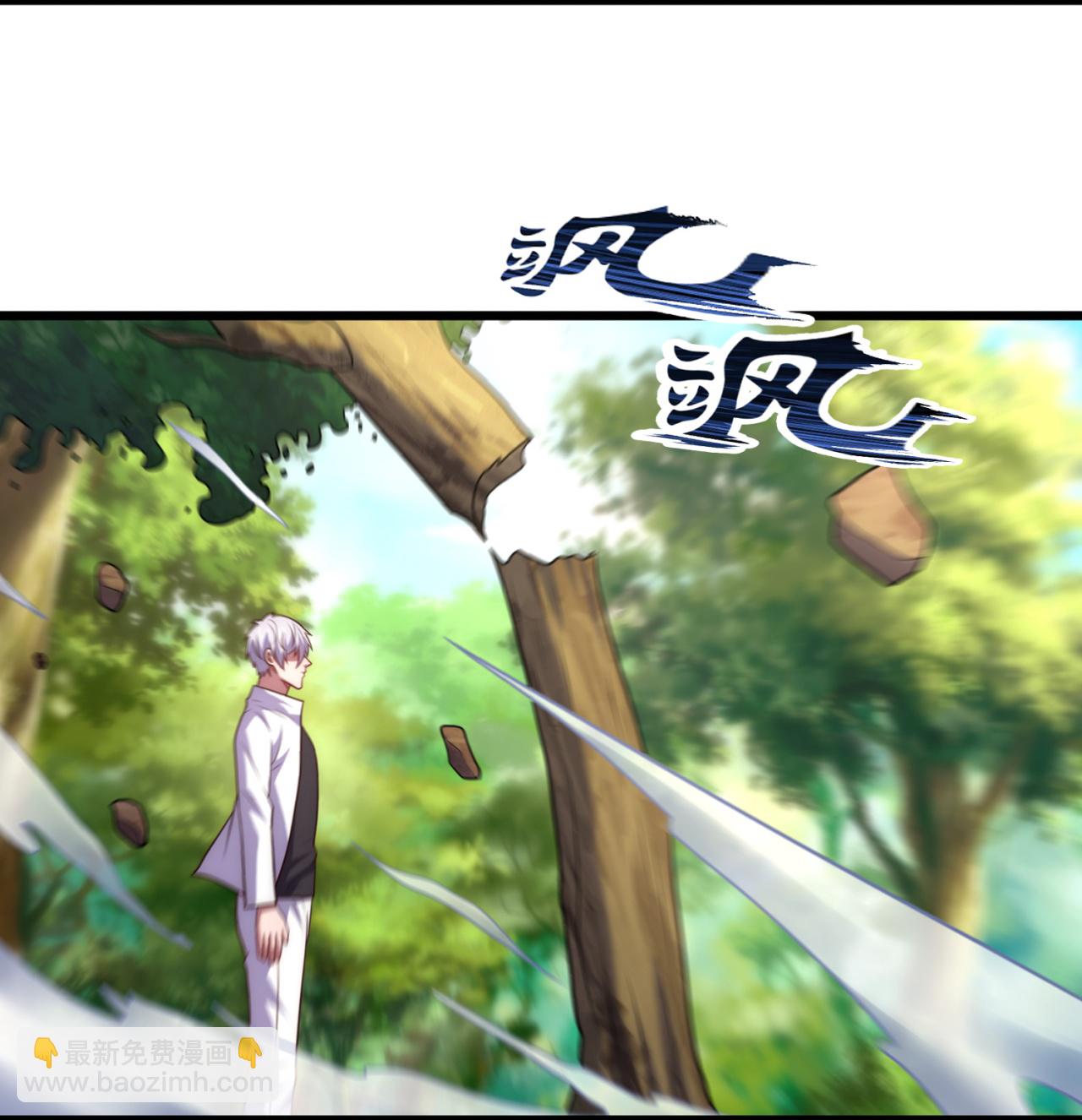 第381话 猎鹰20