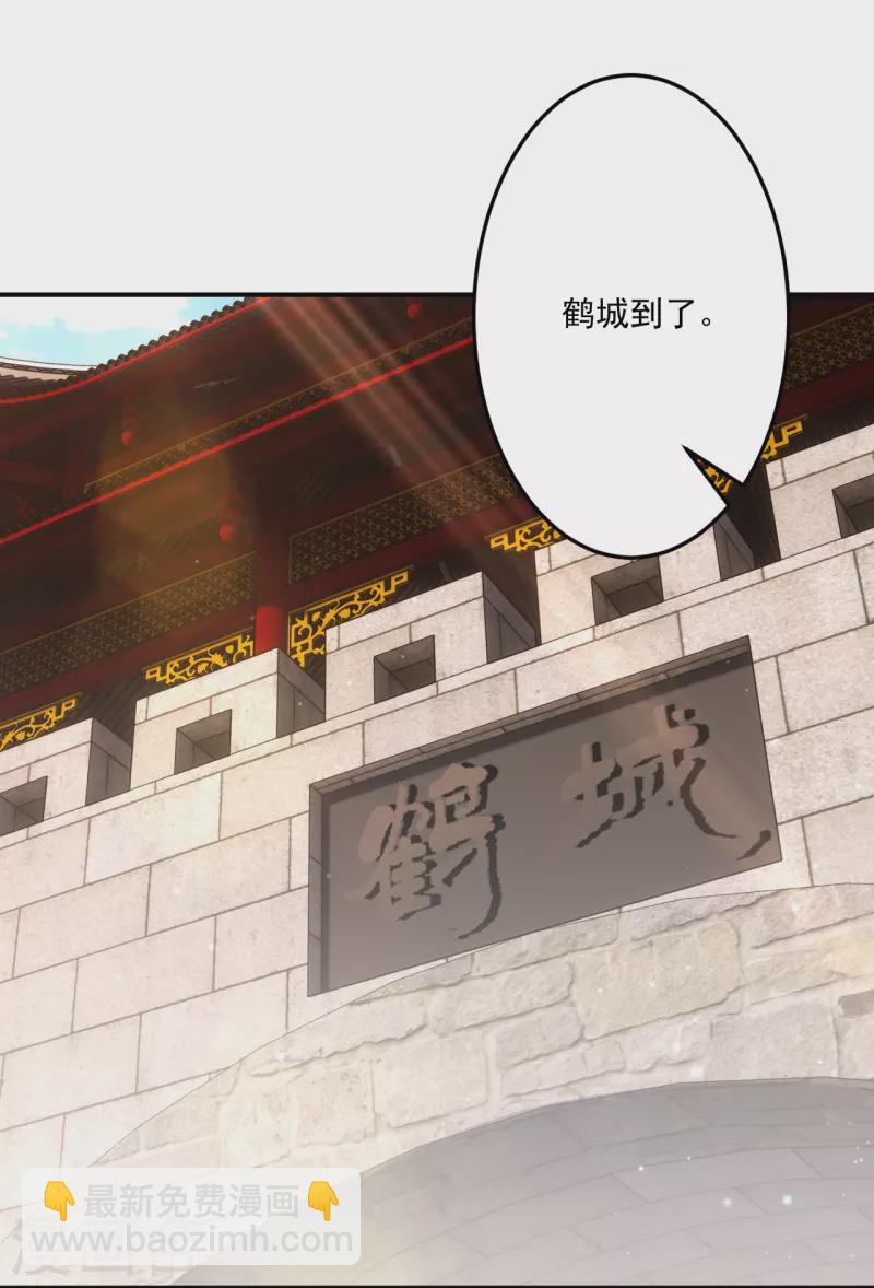 第339话 回到鹤城17