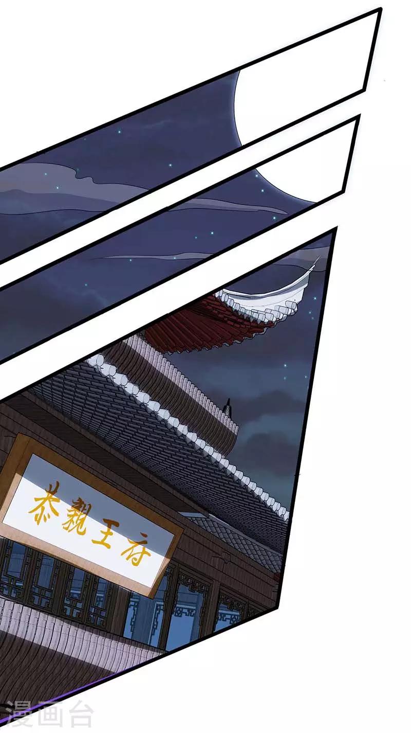 第100话 炼丹大会0