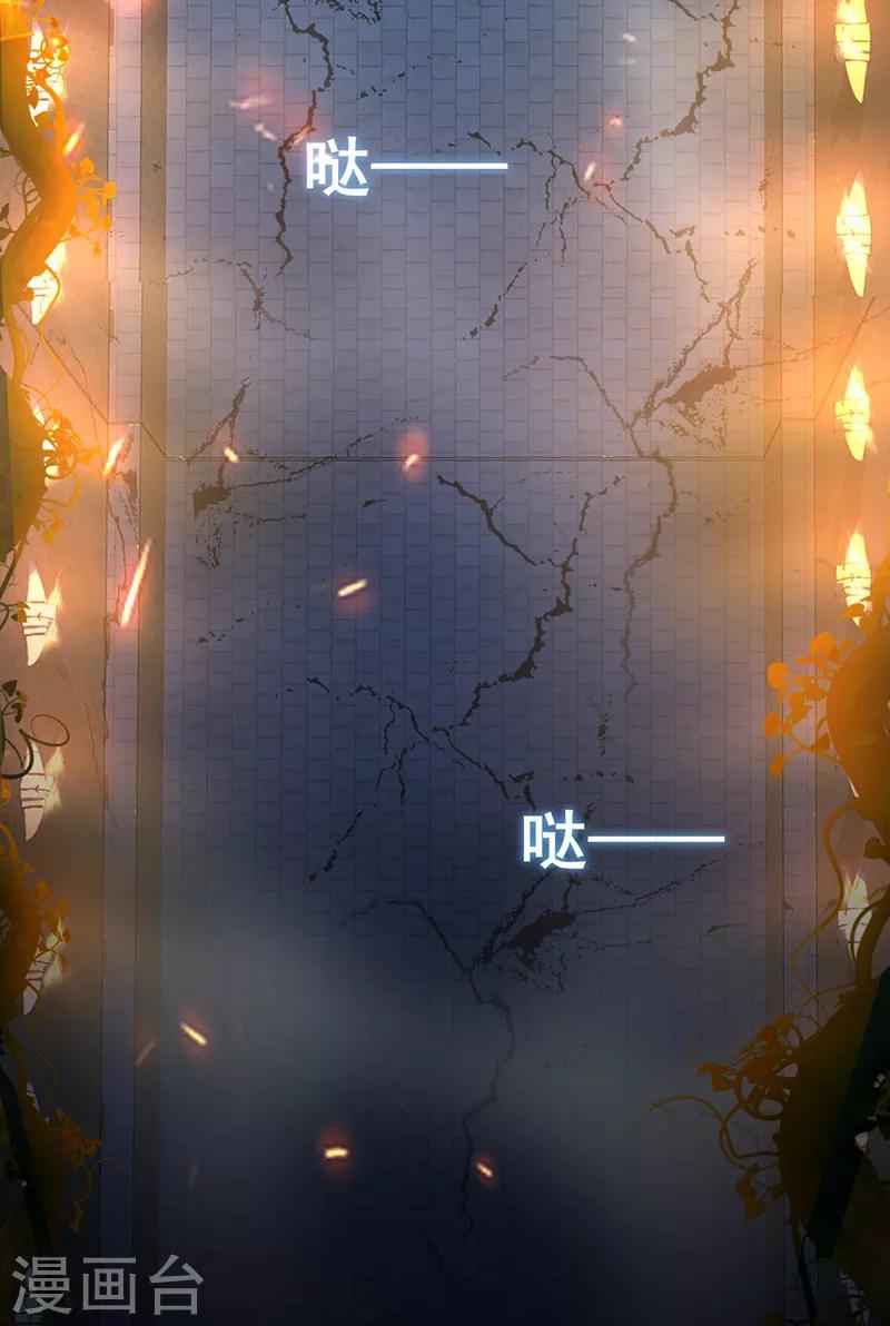 第203话 宝藏19