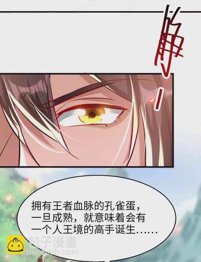 第229话 孔雀蛋9