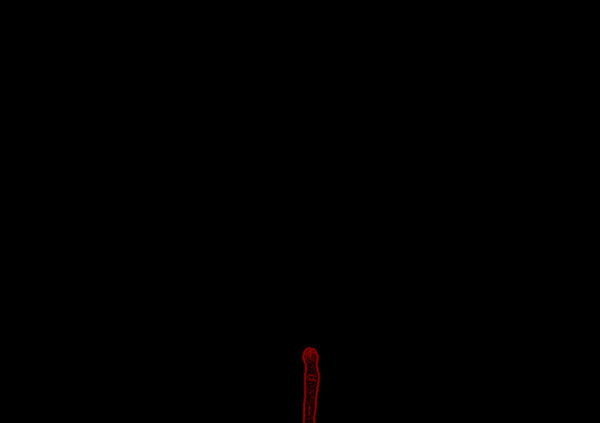 [第60话] 觉醒（下）151