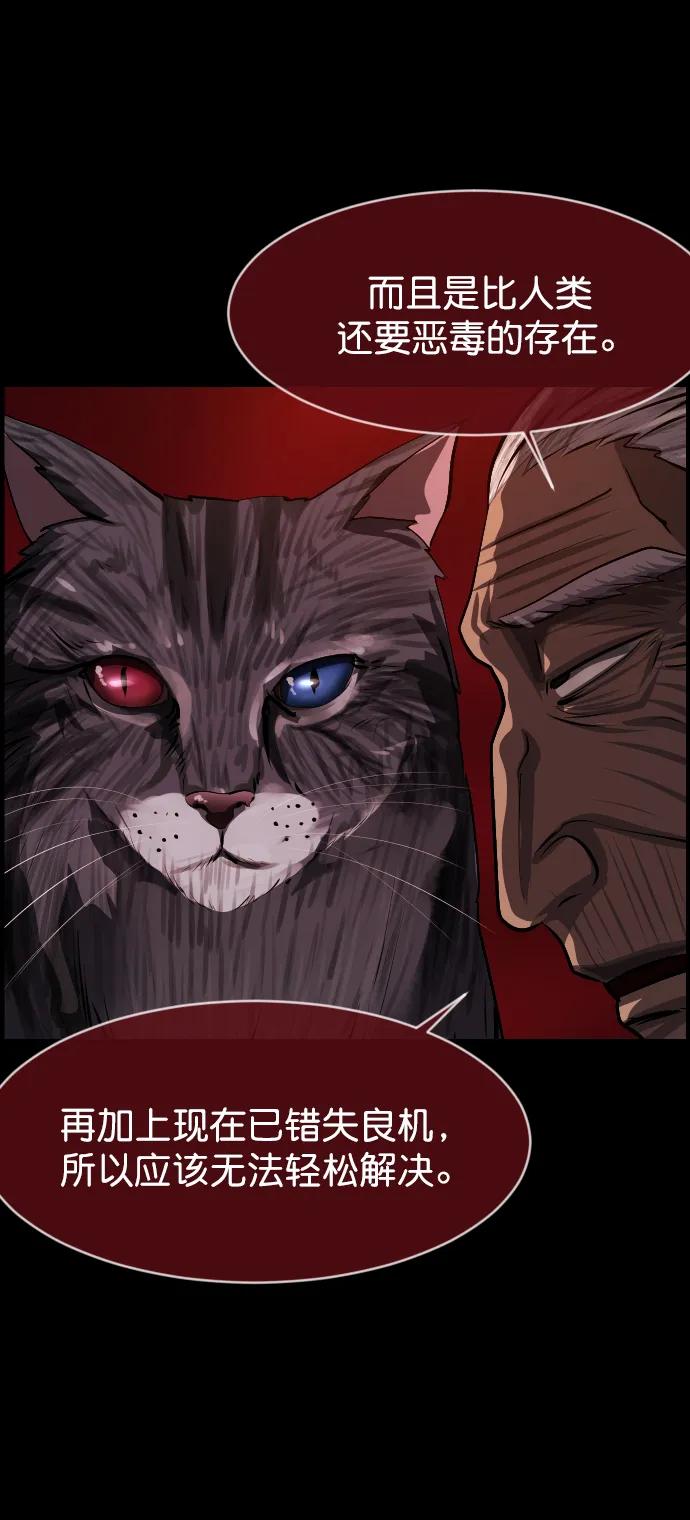 [第313话] 猫灵61