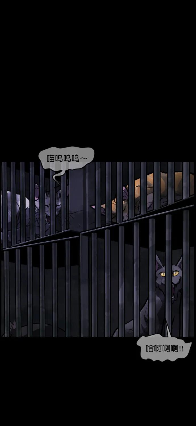 [第313话] 猫灵85