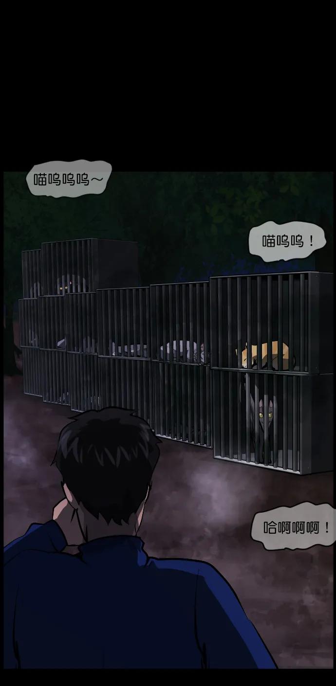 [第313话] 猫灵86