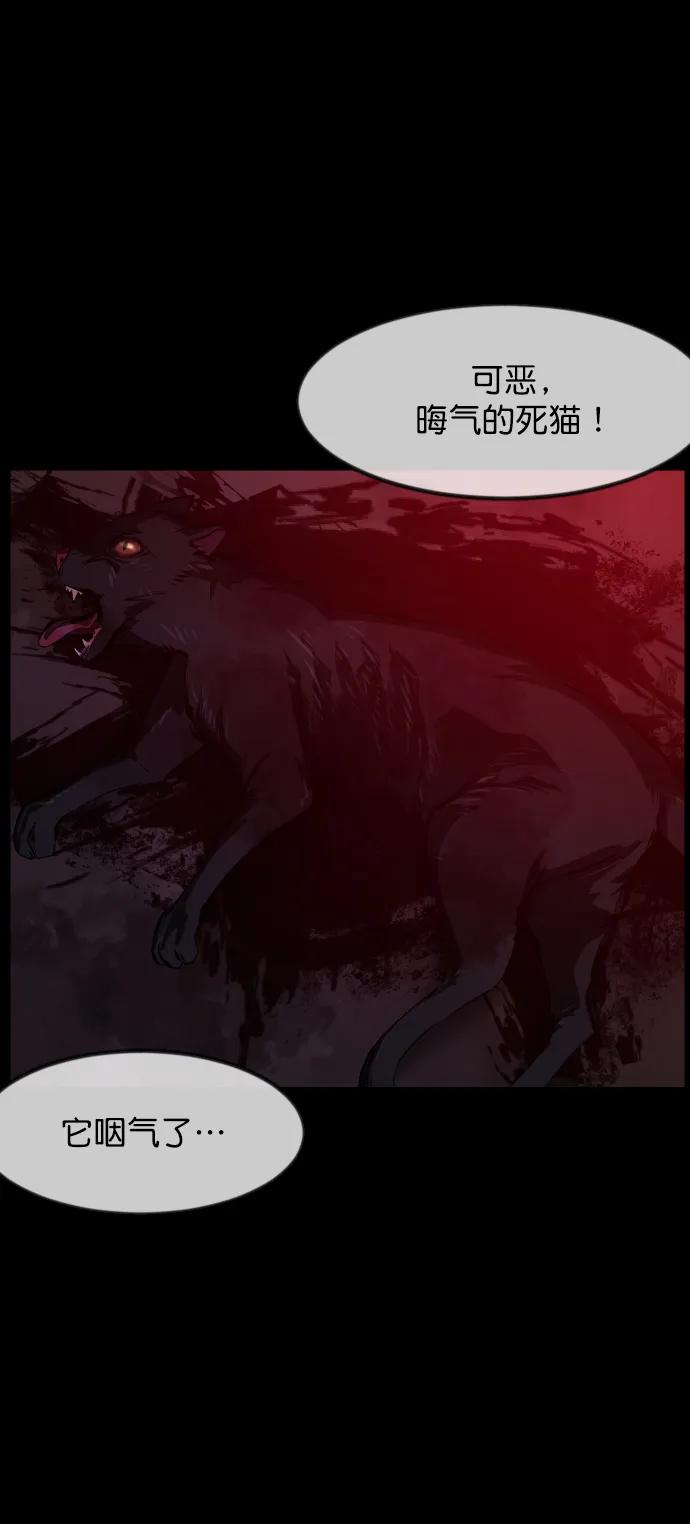[第313话] 猫灵9
