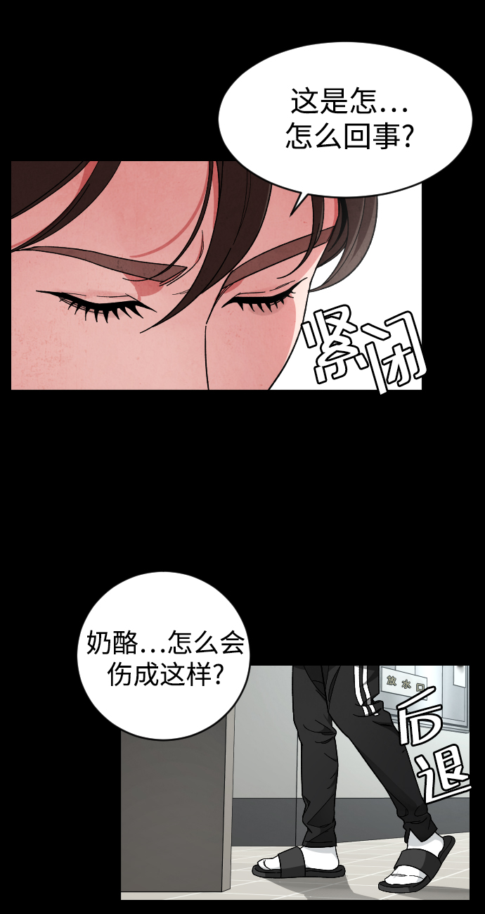 [第22话] 奶酪3