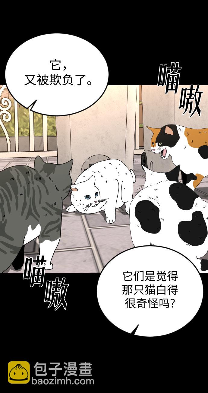 [第31话] 妈妈的遗言3