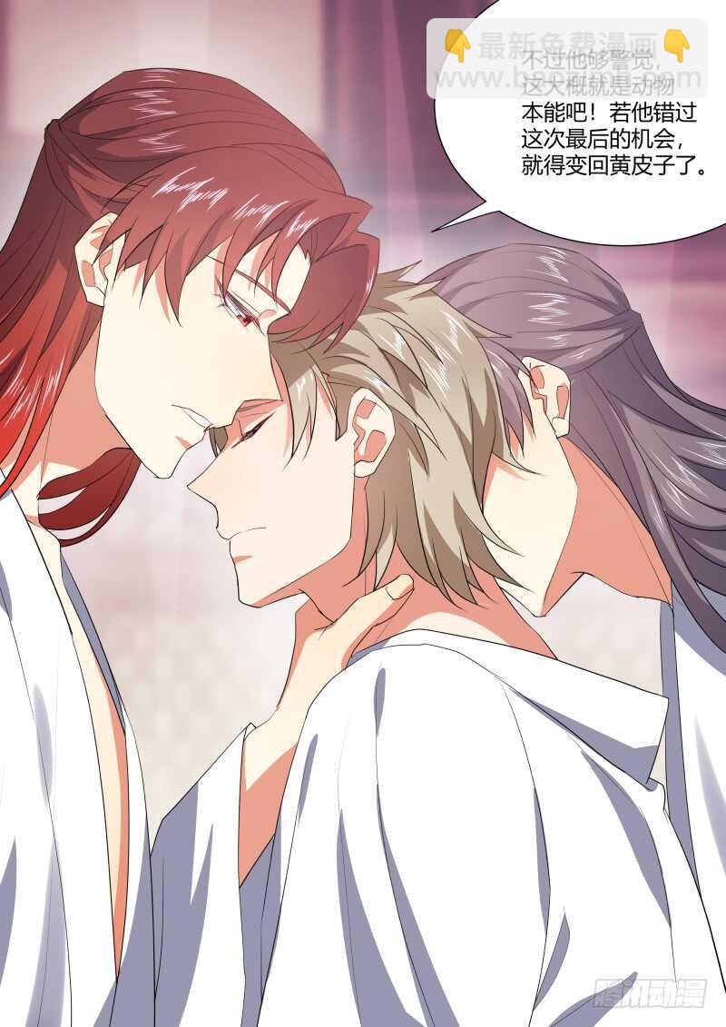 第203话 第82章 请君入瓮（上）18