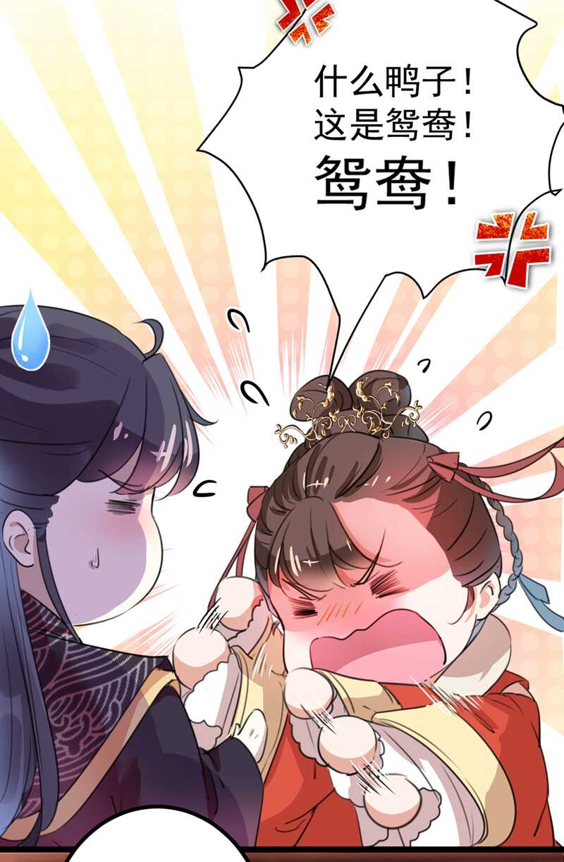 第206话 鸭子浮绿水30