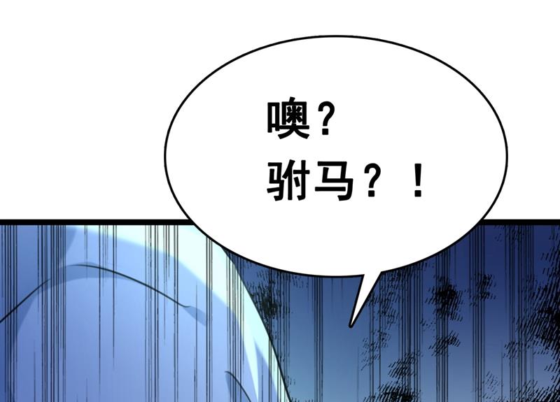 第250话 沈秋也一起去西厥吧3