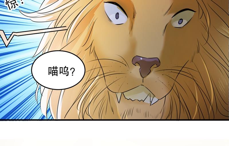 斗兽场上显身手！35