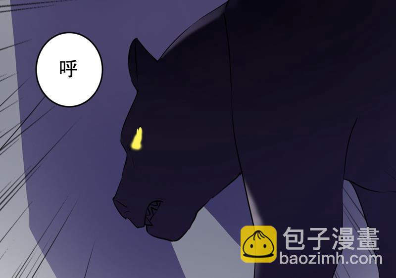 斗兽场上显身手！47