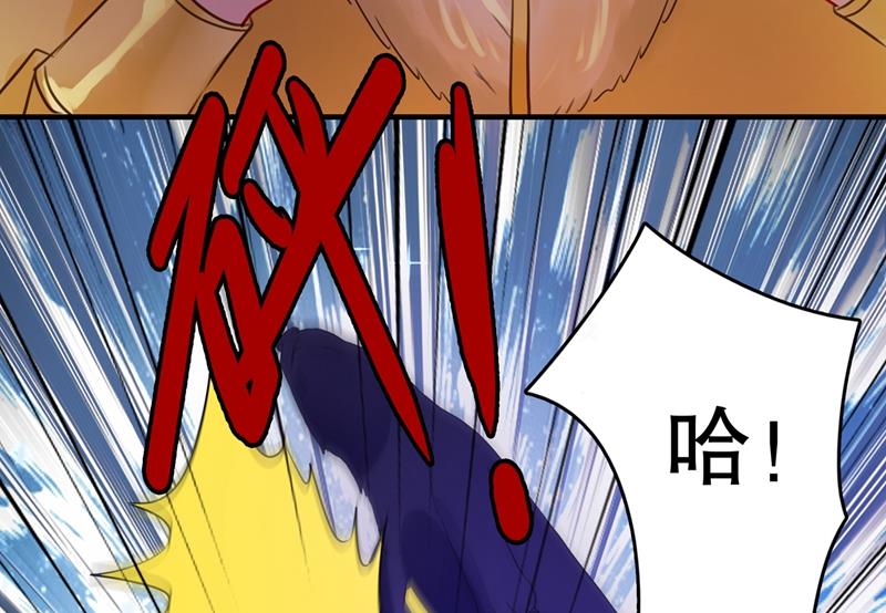 斗兽场上显身手！56