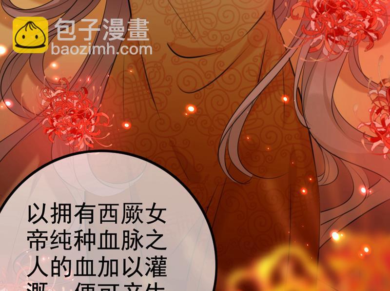 用你的血复活沐心24