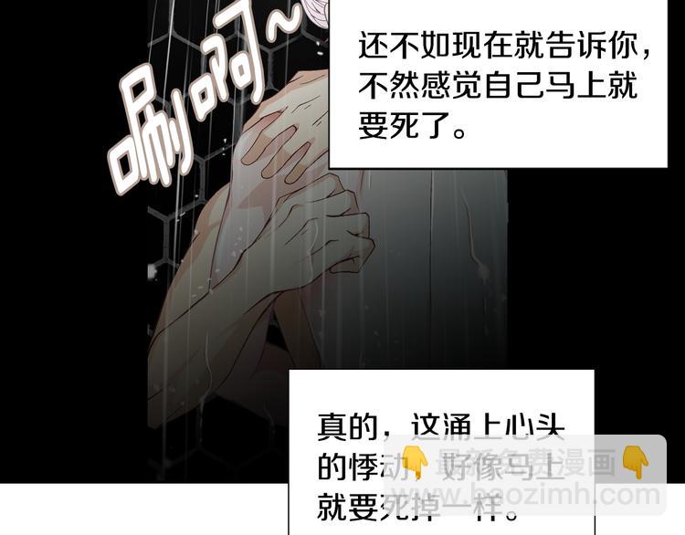 第45话 想和你一起变老94