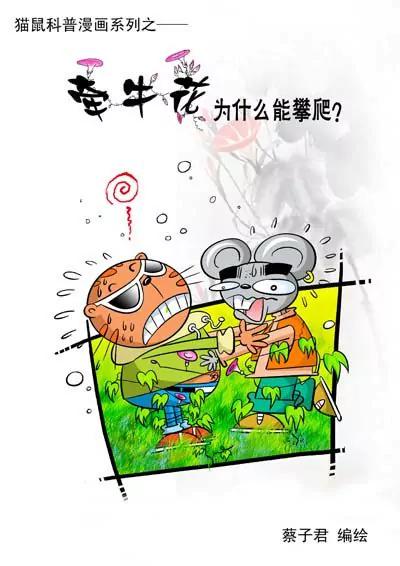 第11话0